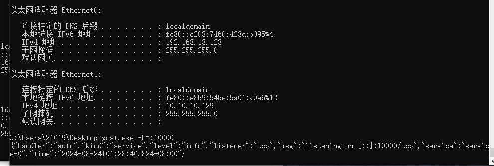 image-20240824012855007