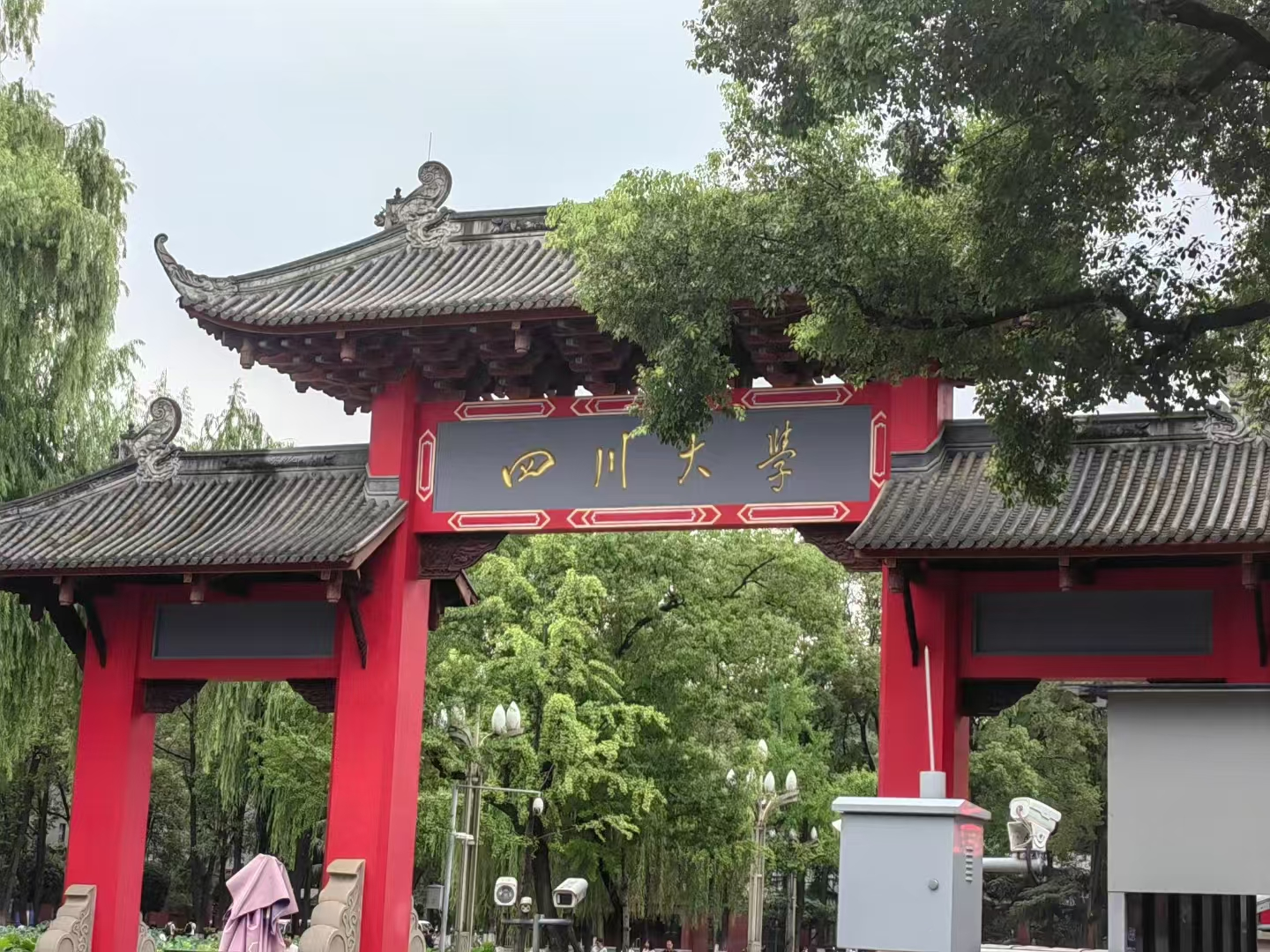 image-20241231180857610