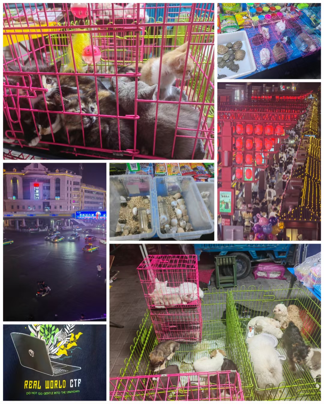 image-20241231181538875